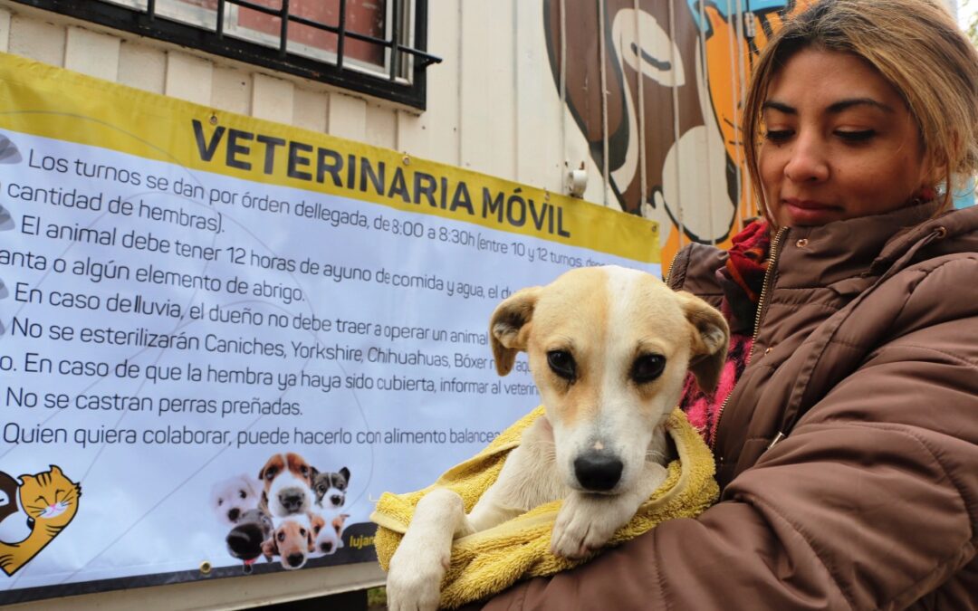 Vacunación antirrábica en Luján de Cuyo