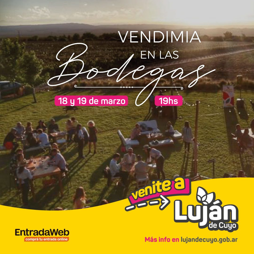 Vendimia en las Bodegas 2022
