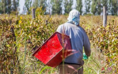 Concejales de Luján plantearon al Ministro de Agricultura de la Nación propuestas para el sector vitivinícola