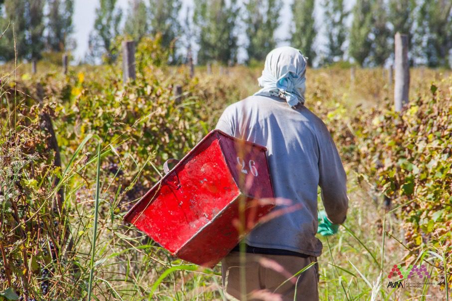 Concejales de Luján plantearon al Ministro de Agricultura de la Nación propuestas para el sector vitivinícola