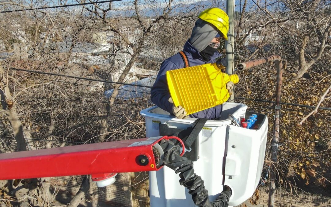 Luján de Cuyo continúa con la reconversión a LED