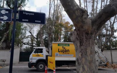 Luján de Cuyo continúa con la temporada de poda en el departamento