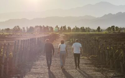 Luján de Cuyo potencia su oferta turística con la inauguración del Viamonte Winery Lodge