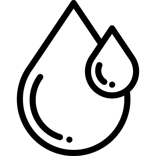 Pago de Tasas