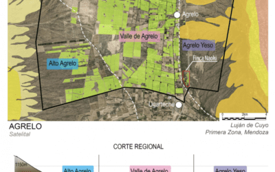 Alto Agrelo: nueva Identificación Geográfica reconocida por el INV consolida el potencial vitivinícola de Luján de Cuyo
