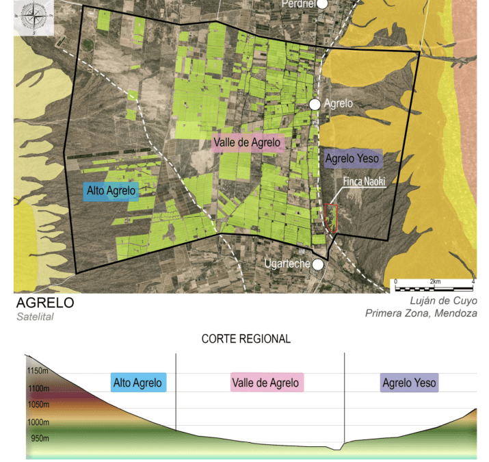 Alto Agrelo: nueva Identificación Geográfica reconocida por el INV consolida el potencial vitivinícola de Luján de Cuyo