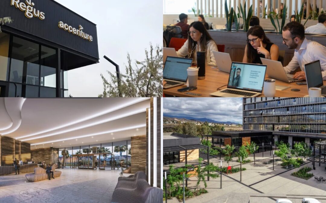 Por qué Luján de Cuyo se convirtió en el territorio ideal para empresas globales