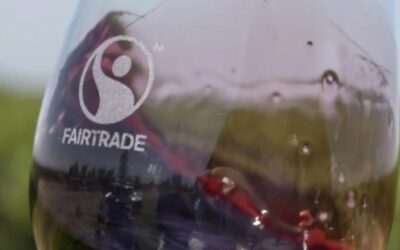 Luján de Cuyo y la vitivinicultura sostenible: Mendoza será sede de un encuentro clave para el vino Fairtrade