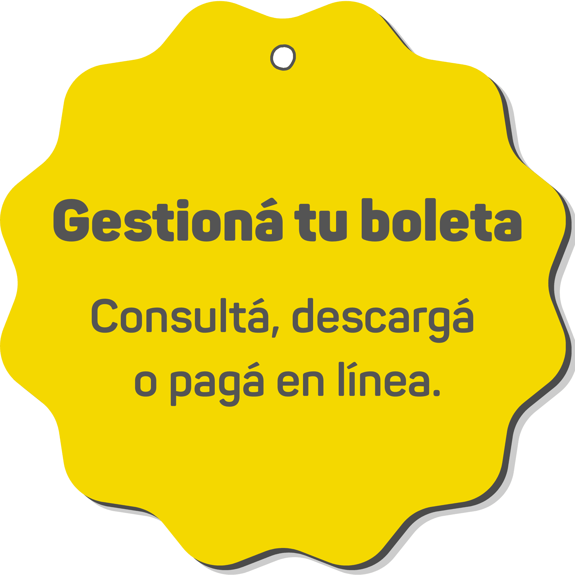 Consultá, descargá o pagá en linea.