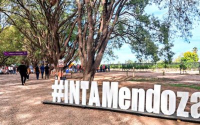 Curso de siembra y mantenimiento de césped para emprendedores en Luján de Cuyo