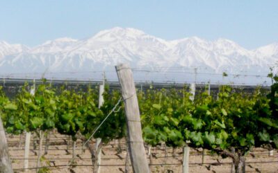 Luján de Cuyo celebra el&nbsp;Día&nbsp;del&nbsp;Malbec&nbsp;con arte, cultura y degustación