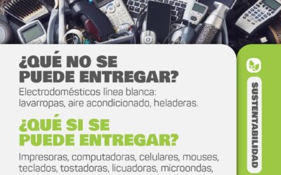 Luján de Cuyo impulsa una nueva campaña de&nbsp;reciclaje&nbsp;electrónico&nbsp;y entrega de&nbsp;plantas&nbsp;nativas