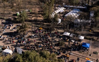 Todo listo para vivir “Invierno en el Bosque” en Cacheuta