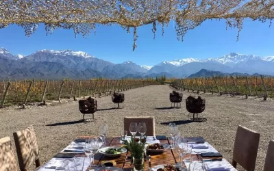 Luján de Cuyo lidera los reconocimientos de la Guía Michelin en Mendoza